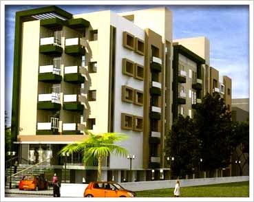 Palacia Exotica - Banner Image