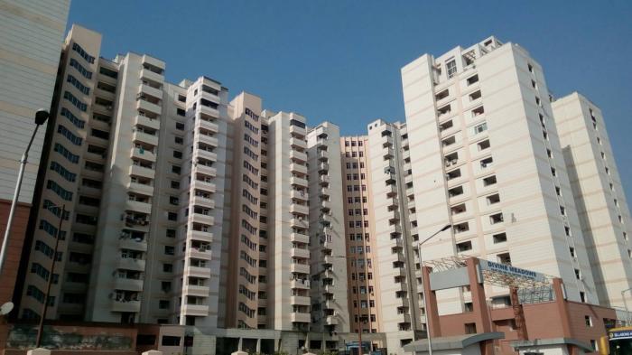 Elixir Divine Meadows - Under Construction