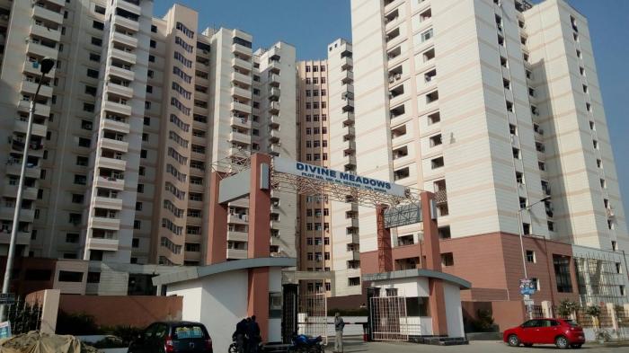 Elixir Divine Meadows - Under Construction