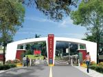 1500 Sqft  Plot for sale in Pithiyatil, Ranchi.