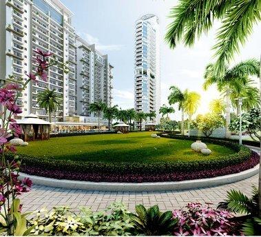 Emerald Garden - Project Photo
