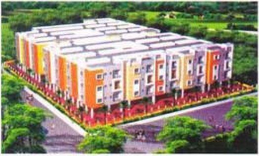 Kapil Gulmohar - Project Photo