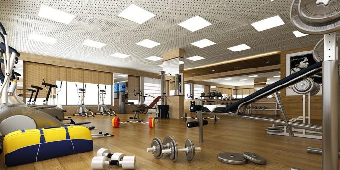 Milestone 7 Heaven - Project Photo