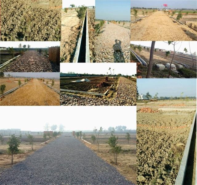 Core City Plot - Project Photo