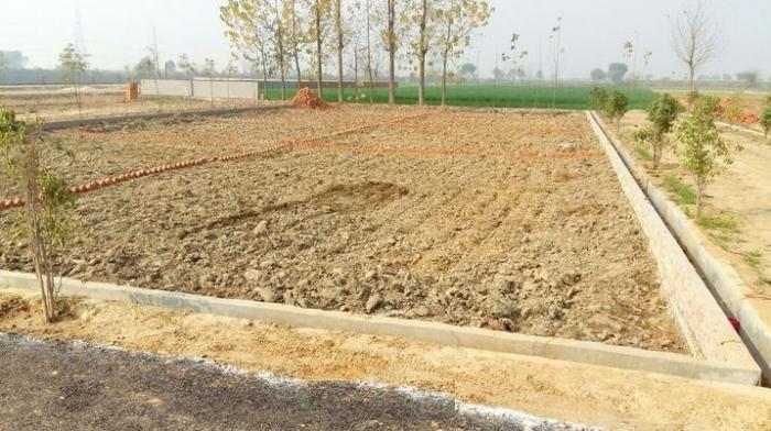 Core City Plot - Banner Image