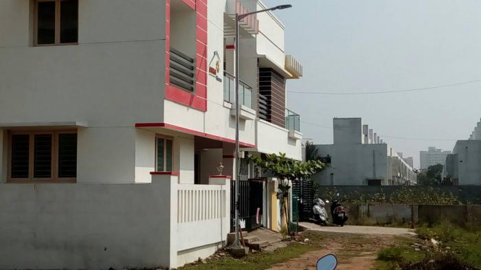 Arka Daisy - Project Photo