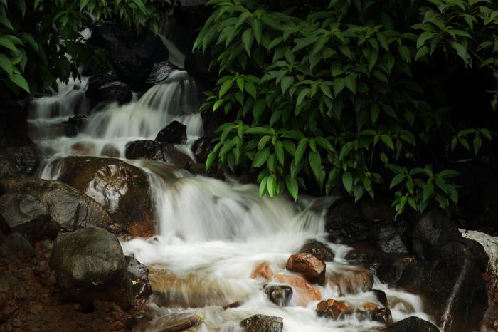 Waterbliss Plots - Project Photo