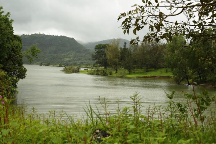 Waterbliss Plots - Project Photo