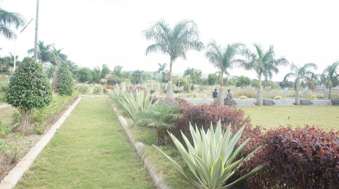 Midmac Palm Meadows - Project Photo