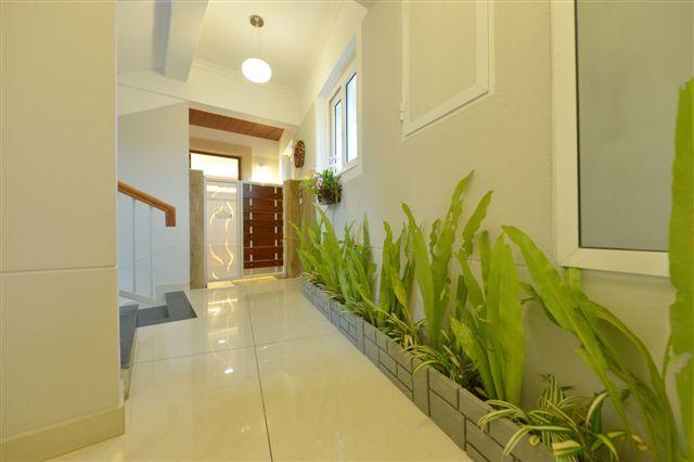 SFS Only 1 - Project Photo