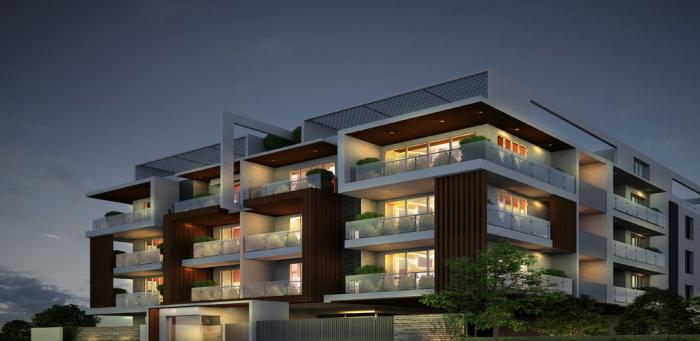 Dhammanagi Zeus - Project Photo