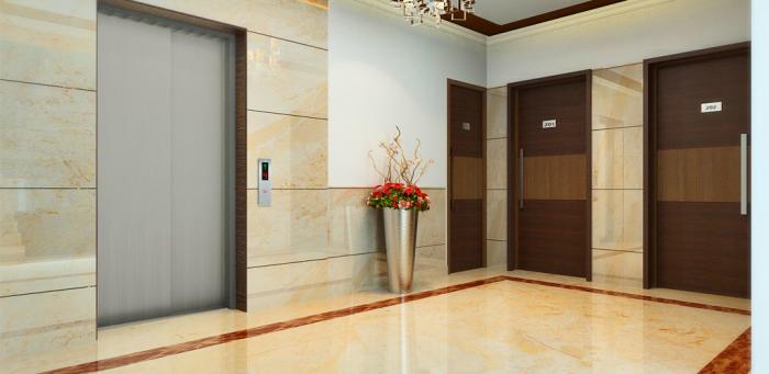 Dhammanagi Zeus - Project Photo