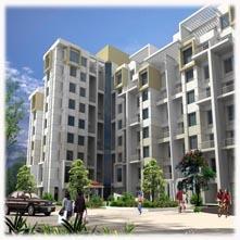 Parth Sara - Project Photo