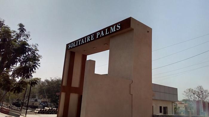 Solitaire Palms - Project Photo