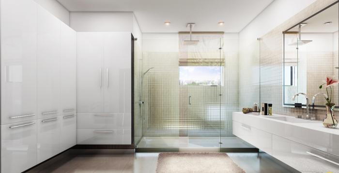 Agrante Beethoven 8 - Project Photo