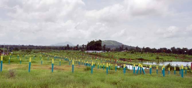 Disha Direct Water Front - Project Photo