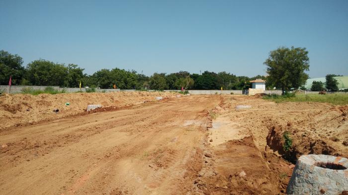 Sunshine Flora - Project Photo