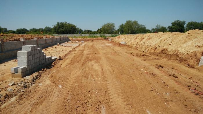 Sunshine Flora - Project Photo