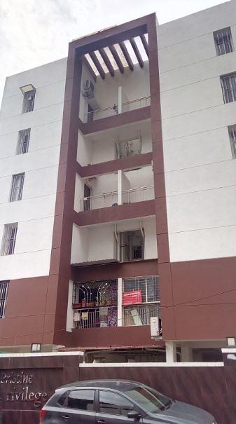 Pristine Privilege - Project Photo