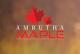 Amrutha Maple