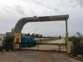 Adonis Plots - Project Photo