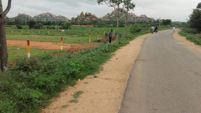 Rose Valley - Project Photo