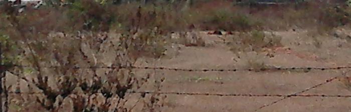 Venkata Rami Shivakote Plot - Project Photo