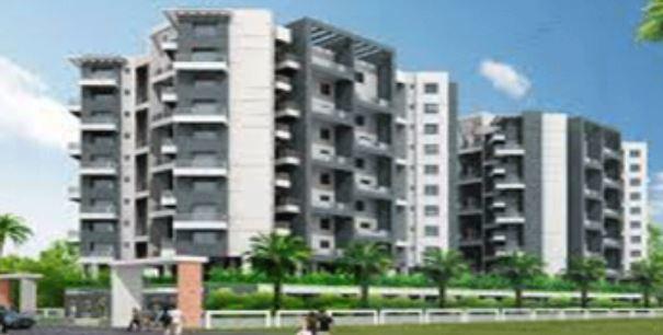 Antriksh Aralias - Banner Image