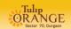 Tulip Orange