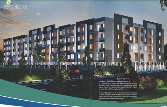 JS Carnation - Project Photo