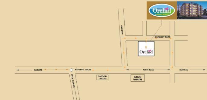 Midmac Orchid - Locality