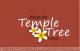 Magnolia Temple Tree Phase I