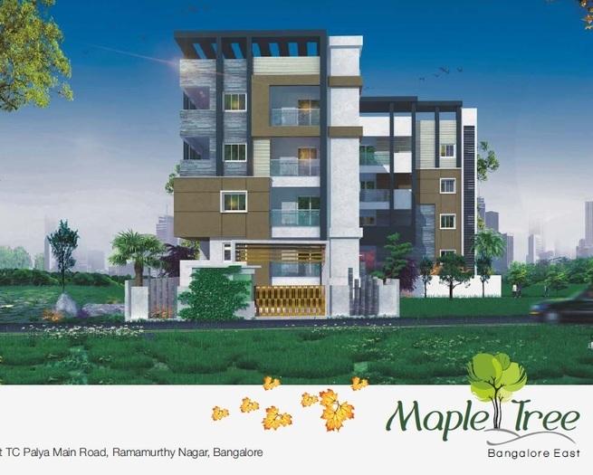 SML Maple Tree - Banner Image