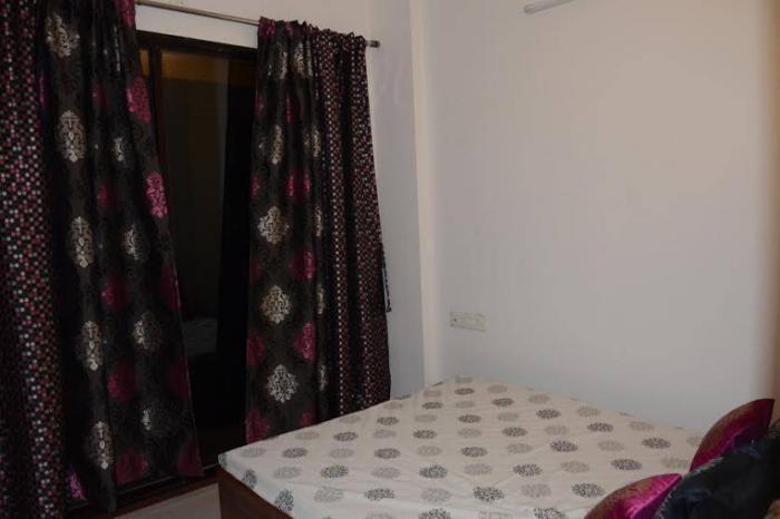 White Tulip - Project Photo