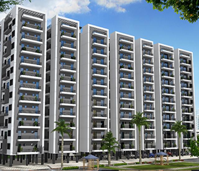 NIP Grand Woods - Project Photo