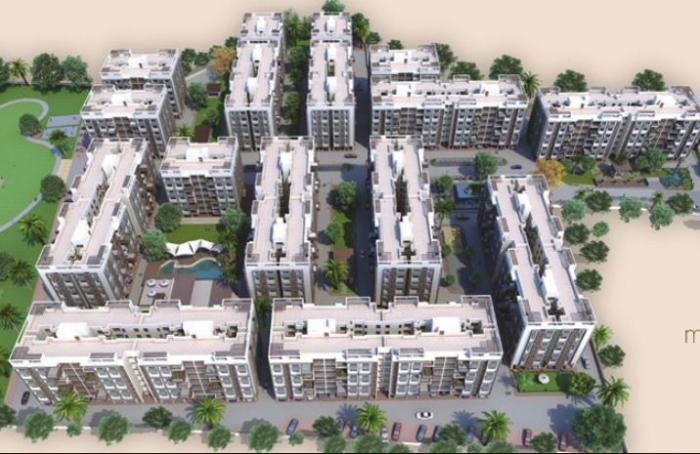 RIPL Maple Tree - Master Plan