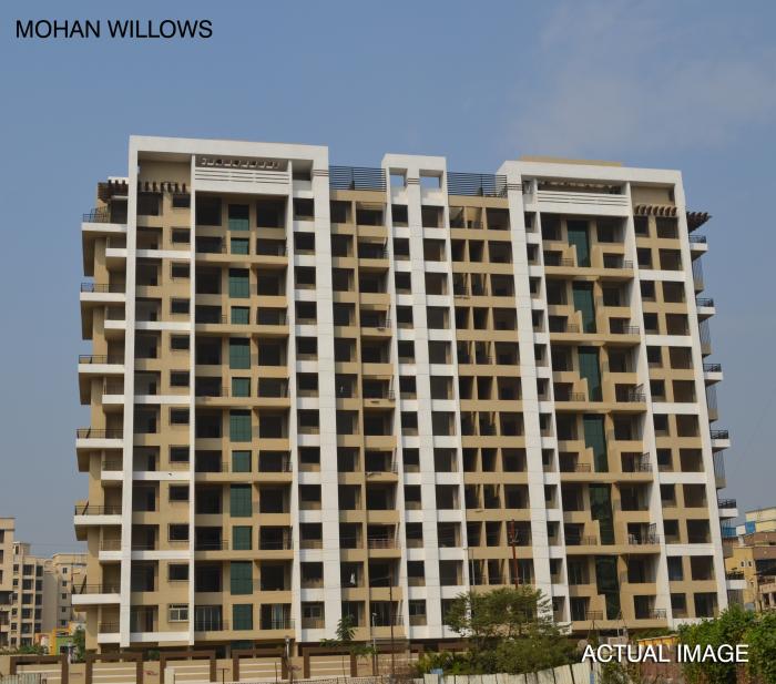 Mohan Willows - Banner Image