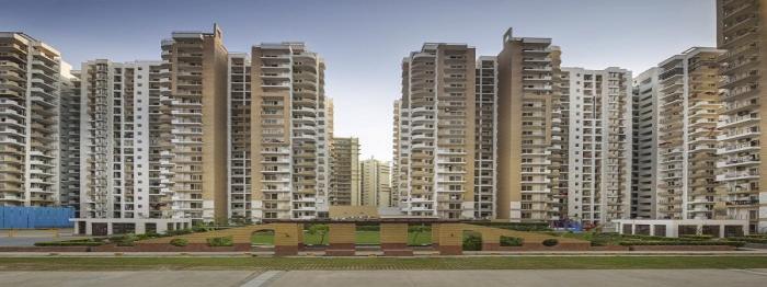 Express Zenith - Banner Image