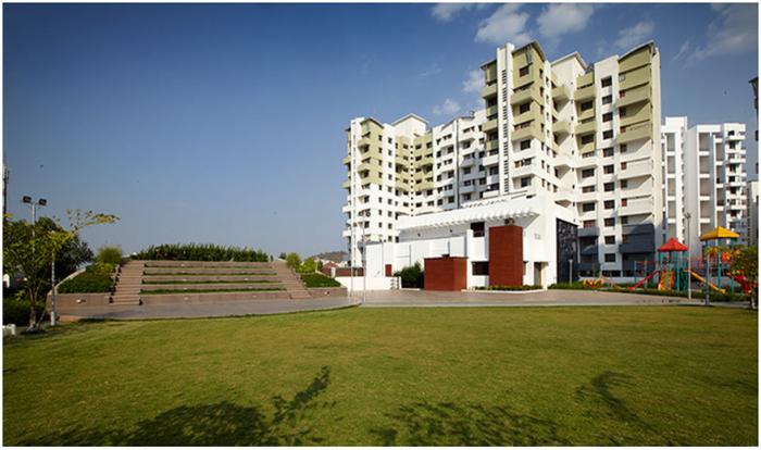 Viva Hallmark - Banner Image