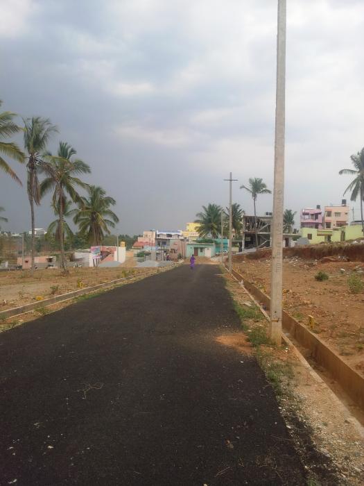 Aditya Blossom - Project Photo