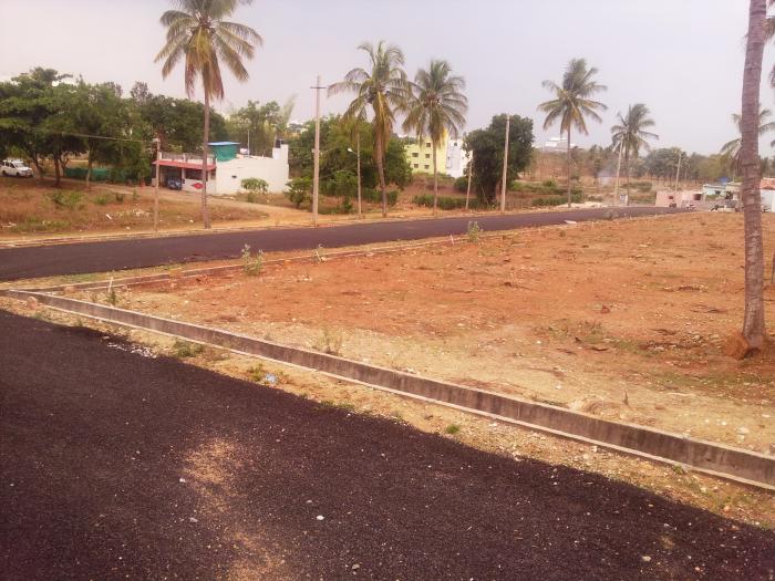 Aditya Blossom - Banner Image