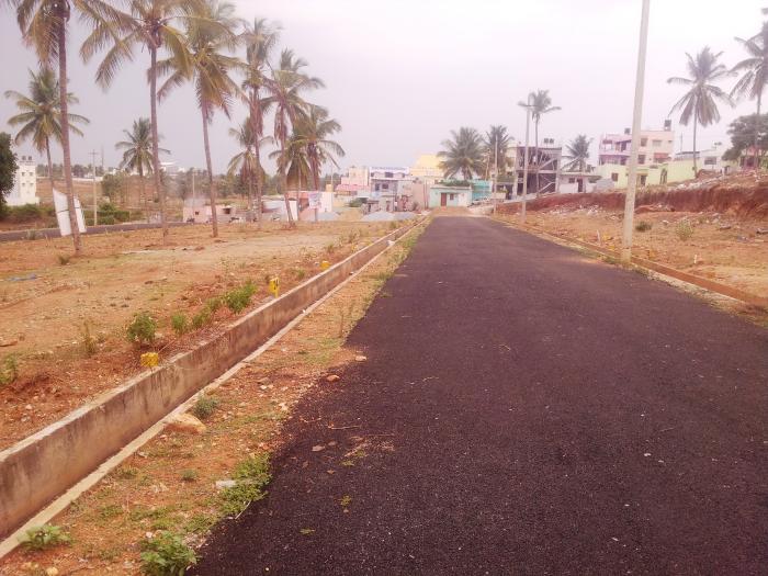 Aditya Blossom - Project Photo