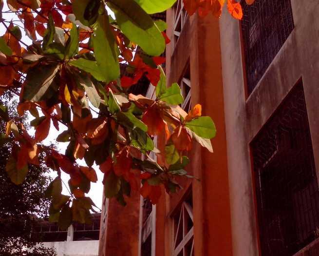 Atharva Janki Anand - Project Photo