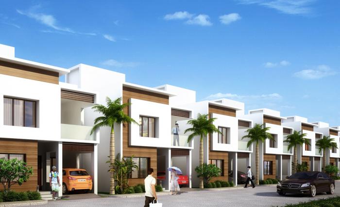 Nova Amber - Project Photo