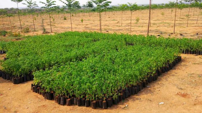 SpaceVision Green Acres - Project Photo