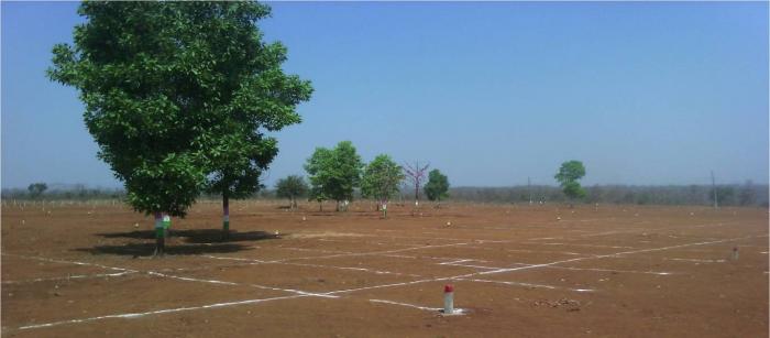 Smart Vrindavan Garden - Project Photo