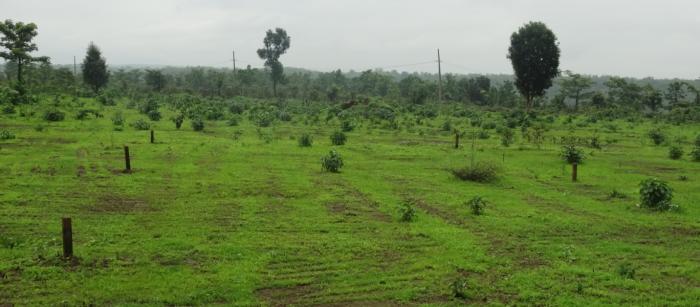 Smart Vrindavan Garden - Project Photo