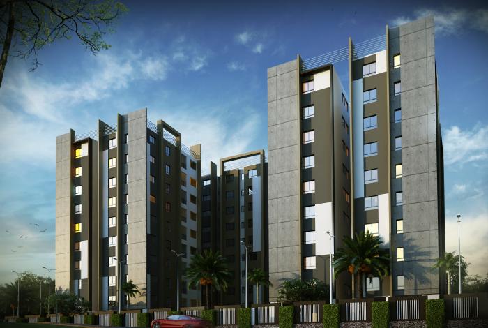 Newry Celio - Project Photo