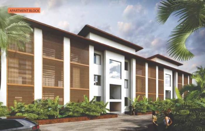 Sun Sohonos - Project Photo