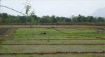 1750 Sqft  Plot for sale in Murbad Karjat Road, Mumbai.